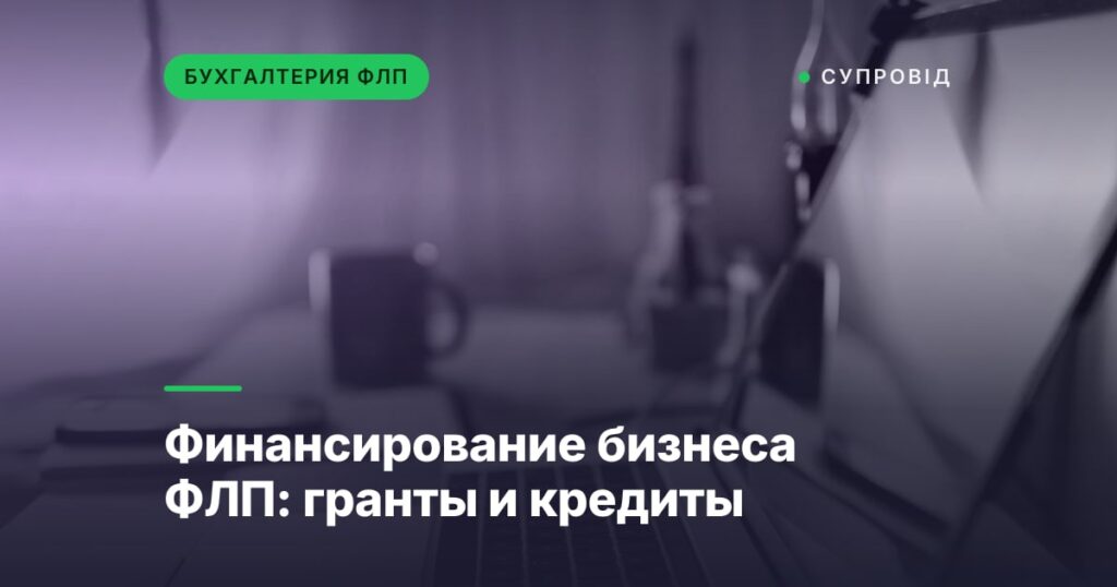 Финансирование бизнеса ФЛП: гранты и кредиты