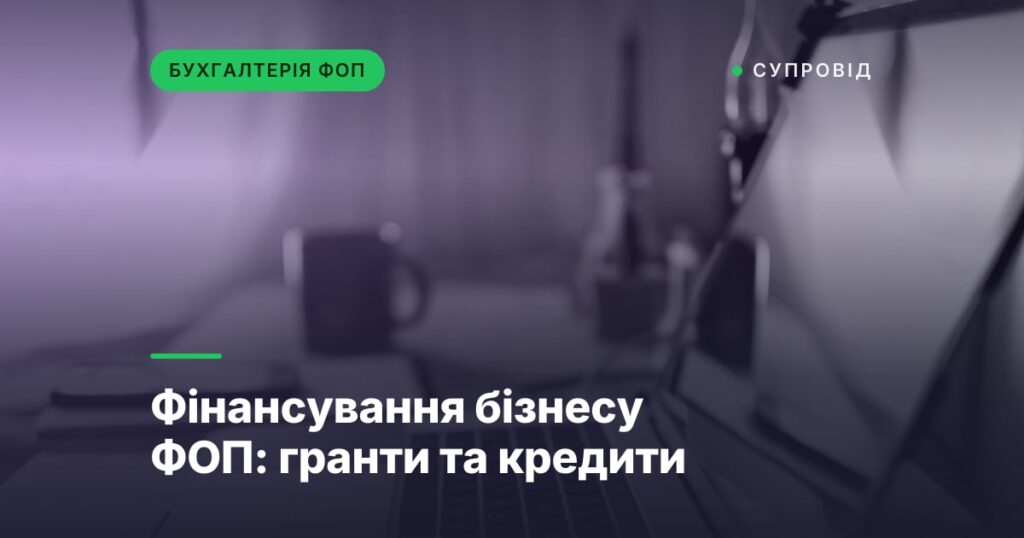Фінансування бізнесу ФОП: гранти та кредити