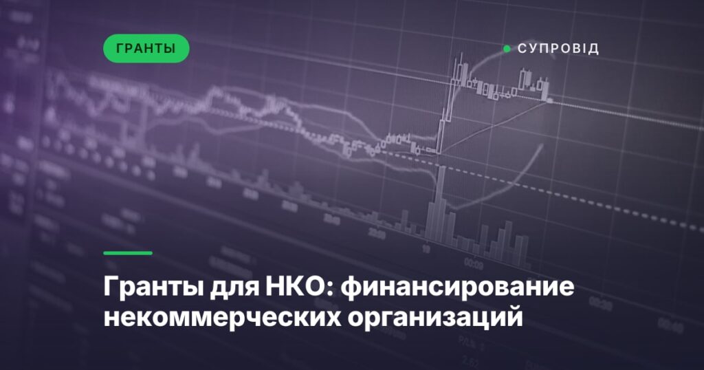 Гранты для НКО: финансирование некоммерческих организаций