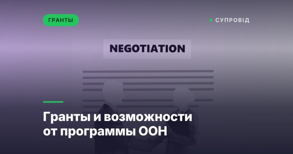 Гранты и возможности от программы ООН