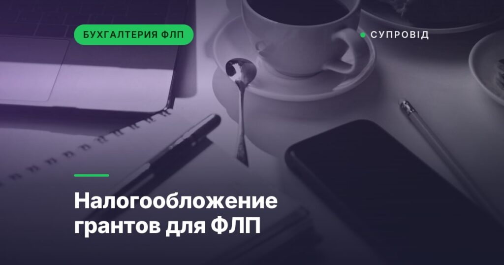 Налогообложение грантов для ФЛП